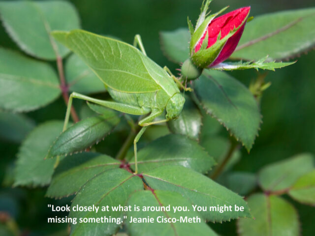 A New Way Of Looking At Love Thy Neighbor As Thyself